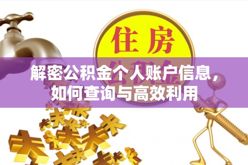 昂仁解密公积金个人账户信息，如何查询与高效利用