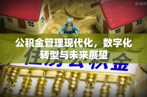 昂仁公积金管理现代化，数字化转型与未来展望
