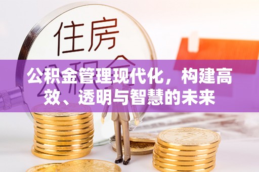 昂仁公积金管理现代化，构建高效、透明与智慧的未来