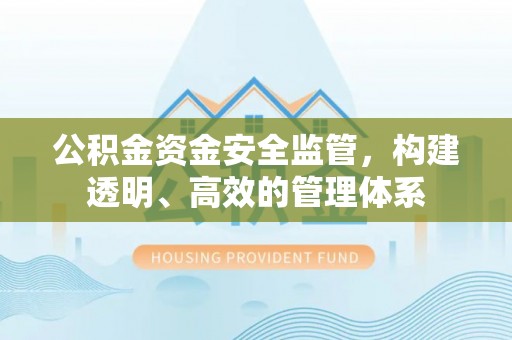 昂仁公积金资金安全监管，构建透明、高效的管理体系