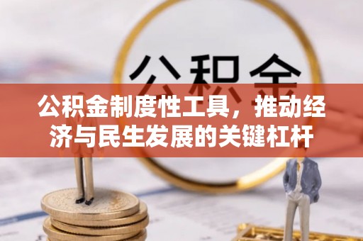 昂仁公积金制度性工具，推动经济与民生发展的关键杠杆