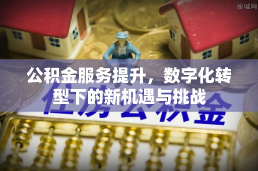 昂仁公积金服务提升，数字化转型下的新机遇与挑战