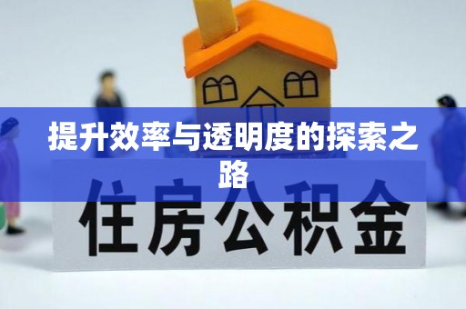 昂仁提升效率与透明度的探索之路