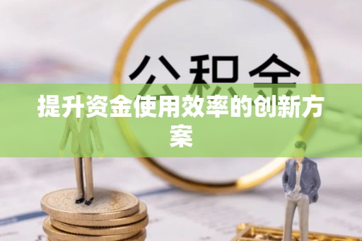 昂仁提升资金使用效率的创新方案