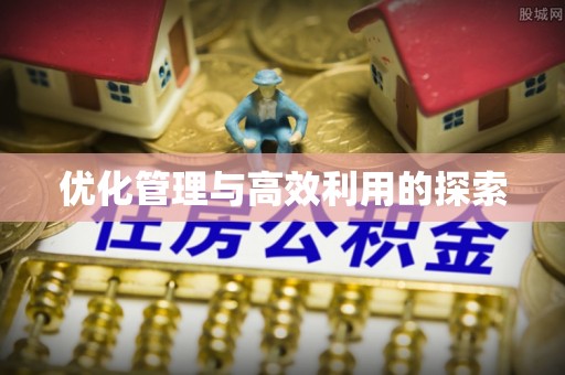 昂仁优化管理与高效利用的探索